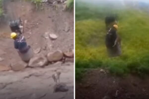 El heroico rescate de un perrito que quedó atrapado en un río caudaloso en Bolivia que se viralizó en rede sociales (+Video)