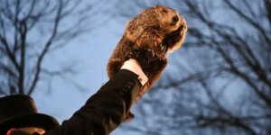 El pronóstico de la marmota Phil para este año: ¿cuánto le queda al invierno?