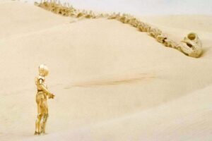 George Lucas lo abandonó en el desierto, el Mandaloriano luchó contra él y tú puedes comprar un trozo del esqueleto más famoso de Star Wars