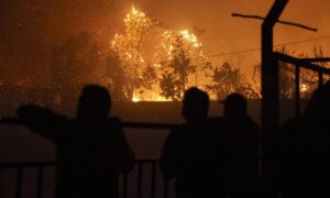 Gobierno de Chile destinará 500.000 dólares para restaurar Jardín Botánico tras incendios - AlbertoNews