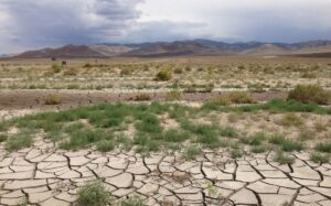 Gobierno mantendrá activos los sistemas de alerta temprana ante emergencias por la sequía
