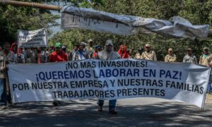 Trabajadores de la caÃ±a protestan contra las invasiones de tierras en Corinto, en el Cauca