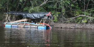 Griam: Minería desplaza a los pueblos indígenas de la Amazonía
