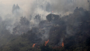 Incendios forestales, dengue y temperaturas récord: Sudamérica sufre por la ola de calor extremo - AlbertoNews