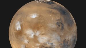 Las bacterias que causan enfermedades en la Tierra pueden prosperar en Marte - AlbertoNews
