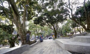 Los grupos delincuenciales que azotan al parque Lleras en Medellín - Medellín - Colombia