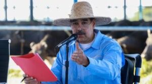 Maduro propone leche de búfalo para los niños en el Clap