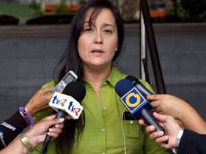 Más de 200 ONG venezolanas denunciaron la desaparición forzada de Rocío San Miguel