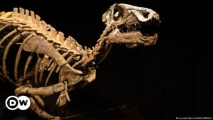 Primer dinosaurio fue reconocido oficialmente hace 200 años – DW – 13/02/2024