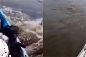 Se viraliza video de hombre que hacía kayak en el Amazonas y se topó con unas extrañas criaturas