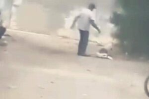 Tras video viral, designan fiscal para investigar a sujeto en Barquisimeto que golpeó a un perro hasta matarlo