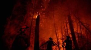 Van al menos 19 muertos por múltiples incendios en Chile