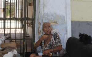 En el Retén de Bella Vista: La condena de una anciana a vivir hacinada con 73 gatos