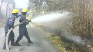 Al menos 650 hectáreas afectaron incendios en Mérida