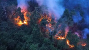 Alerta en Brasil, Bolivia y Venezuela por emisiones contaminantes de incendios