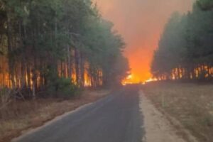 Alertan que más de 2.000 hectáreas han sido consumidas por voraz incendio en bosque Uverito en Monagas