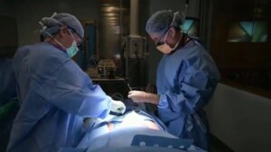 Así es el primer trasplante exitoso de un riñón de cerdo a un paciente vivo