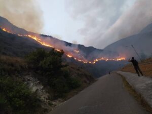 Autoridades de Táchira investigan incendios forestales