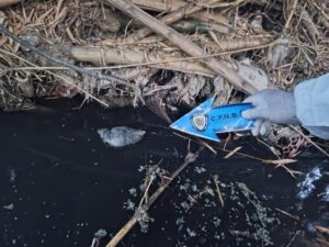 Bebé fue asesinada en Valencia y sumergida en el Río Cabriales 
