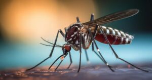 Cambio climático y otras dos razones que explican la epidemia de dengue en Argentina