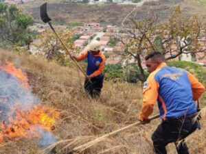 Cómo avanzan las labores para sofocar los incendios en el parque nacional Henri Pittier