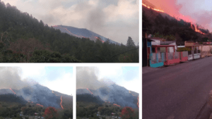 Controlan incendio forestal en el municipio Caripe de Monagas