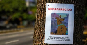Desaparecen a Scooby Doo por investigar el misterio del paradero de Tareck El Aissami
