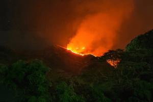 Detenidas 12 personas por incendios forestales en Aragua y Mérida