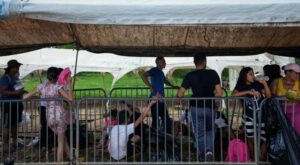 Detienen a 45 migrantes de Venezuela, Ecuador y Colombia por daños en albergue del Darién