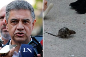 El peculiar momento en el que una rata interrumpió la conferencia del jefe de gobierno de gobierno de Buenos Aires (+Video)