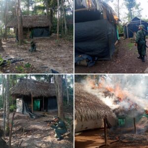 FANB evacuó 2 mil 500 mineros ilegales de una mina en el Parque Nacional Caura