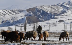 Ganaderos de Kirguistán crean glaciares artificiales para salvar a sus rebaños - AlbertoNews