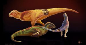 Identifican enfermedades que sufrieron los dinosaurios depredadores
