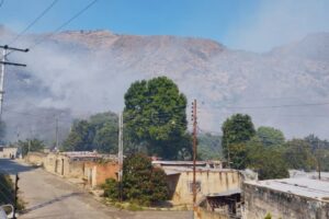 Incendios del Henri Pittier afectan al municipio Diego Ibarra