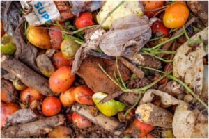 Informe de la ONU revela que mundialmente se desperdician más de 1.000 millones de platos de comida al día (+Datos)
