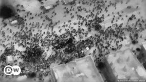 Investigación sobre masacre en Gaza durante reparto de ayuda – DW – 08/03/2024