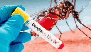 La OPS alertó que se espera la peor temporada de dengue en la historia en América Latina