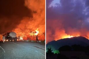 Las impresionantes imágenes de los recientes incendios en el Parque Nacional Henri Pittier