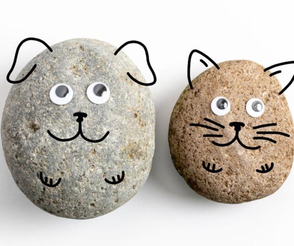 Los surcoreanos se aferran a las piedras como mascotas
