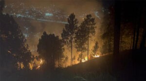 Más de 500 hectáreas quedan afectadas por incendio en Mérida