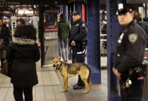 Muere una persona al ser empujada hacia las vas en el metro de Nueva York