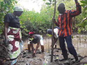 Mujeres indígenas y de minorías costeras lideran conservación del Bosque Azul de Kenia