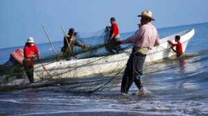 Pescadores de la Costa Oriental del Lago garantizan mil kilos de pescado