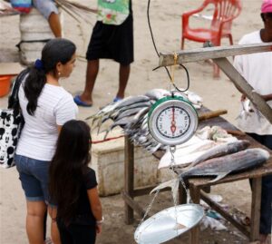 Precio del pescado subió en la Guajira durante este Miércoles Santo
