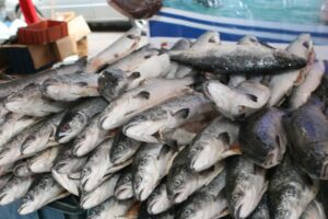 Semana Santa | ¿Cuánto cuestan estos pescados en…?
