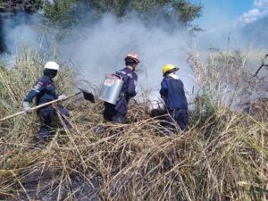 Sofocan incendios provocados en varias zonas de Mérida – Diario La Nación