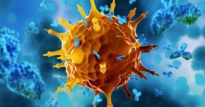 Terapia con anticuerpos podría rejuvenecer el sistema inmune