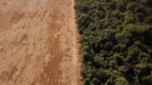 Unión Europea y países de la Amazonía trazan líneas de acción para combatir deforestación - AlbertoNews