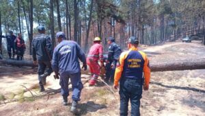 3 mil 115 incendios en todo el país han afectado 61 mil hectáreas durante la temporada seca