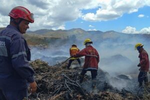 549 incendios en han afectado más de mil hectáreas este año